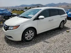5FNRL5H67FB106184 2024 HONDA ODYSSEY