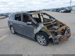 5FNRL5H6XHB501768 2017 HONDA ODYSSEY