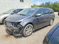 5FNRL5H6XHB501771 2017 HONDA ODYSSEY