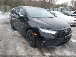 5FNRL6H05RB500420 2024 HONDA ODYSSEY