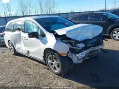 5FNRL6H06PB501508 2023 HONDA ODYSSEY