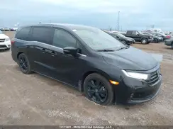 5FNRL6H06PB502996 2023 HONDA ODYSSEY