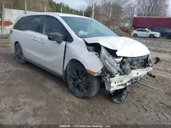 5FNRL6H08RB501531 2024 HONDA ODYSSEY