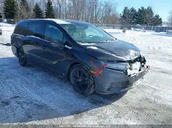 5FNRL6H08RB501920 2024 HONDA ODYSSEY