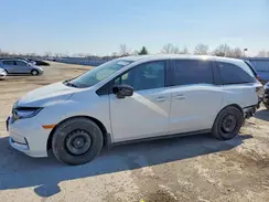 5FNRL6H09PB503110 2023 HONDA ODYSSEY
