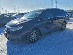 5FNRL6H23MB018815 2021 HONDA ODYSSEY