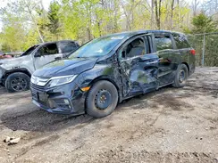 5FNRL6H41LB500716 2020 HONDA ODYSSEY