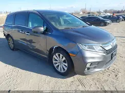 5FNRL6H44KB511305 2019 HONDA ODYSSEY