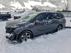 5FNRL6H47KB505031 2019 HONDA ODYSSEY
