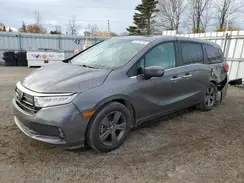 5FNRL6H47NB500254 2022 HONDA ODYSSEY