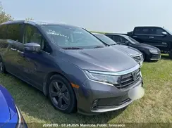 5FNRL6H47NB501856 2022 HONDA ODYSSEY
