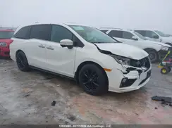 5FNRL6H4XKB501832 2019 HONDA ODYSSEY