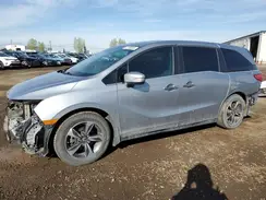 5FNRL6H4XKB507307 2019 HONDA ODYSSEY