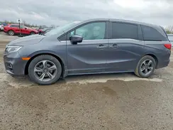 5FNRL6H4XLB504750 2020 HONDA ODYSSEY