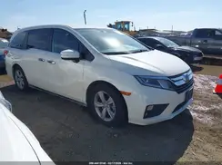 5FNRL6H50KB021856 2019 HONDA ODYSSEY