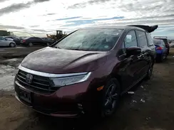 5FNRL6H50MB007023 2021 HONDA ODYSSEY