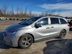 5FNRL6H50MB021696 2021 HONDA ODYSSEY