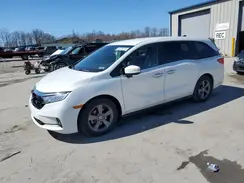 5FNRL6H50MB038692 2021 HONDA ODYSSEY