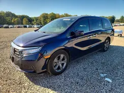 5FNRL6H50MB043892 2021 HONDA ODYSSEY