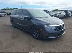 5FNRL6H50NB029248 2022 HONDA ODYSSEY