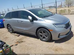 5FNRL6H50RB004792 2024 HONDA ODYSSEY