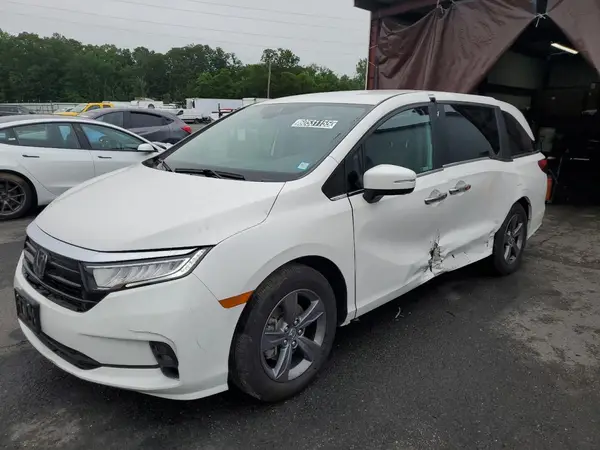 5FNRL6H50RB059887 2024 HONDA ODYSSEY - Image 1