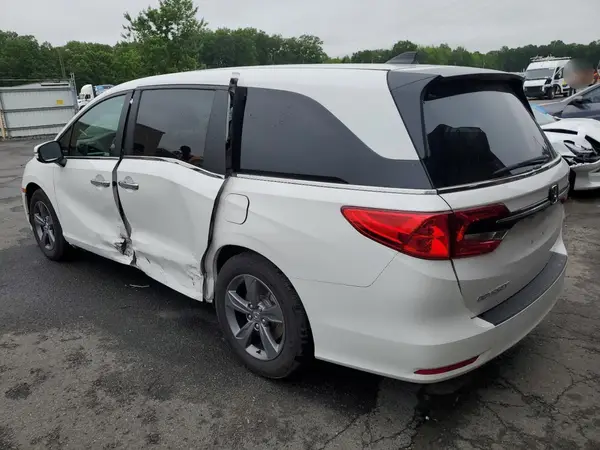 5FNRL6H50RB059887 2024 HONDA ODYSSEY - Image 2