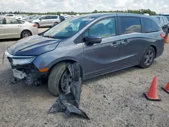 5FNRL6H50RB074843 2024 HONDA ODYSSEY