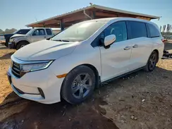 5FNRL6H51MB014921 2021 HONDA ODYSSEY