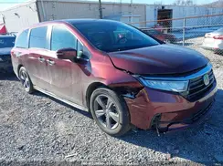 5FNRL6H51MB019505 2021 HONDA ODYSSEY