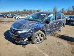 5FNRL6H51MB041584 2021 HONDA ODYSSEY