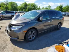 5FNRL6H51MB043724 2021 HONDA ODYSSEY