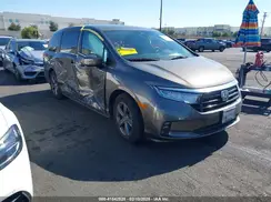 5FNRL6H51NB003886 2022 HONDA ODYSSEY