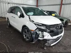5FNRL6H51NB033227 2022 HONDA ODYSSEY