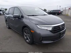 5FNRL6H51PB065999 2023 HONDA ODYSSEY