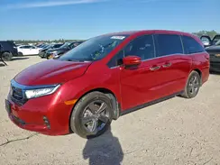 5FNRL6H51RB074074 2024 HONDA ODYSSEY