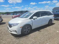 5FNRL6H52MB014863 2021 HONDA ODYSSEY
