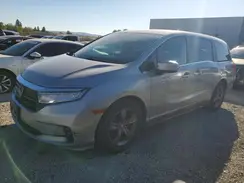 5FNRL6H52NB017005 2022 HONDA ODYSSEY