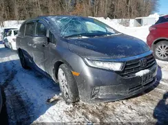 5FNRL6H52PB054753 2023 HONDA ODYSSEY