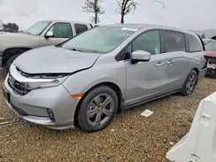 5FNRL6H52RB000596 2024 HONDA ODYSSEY