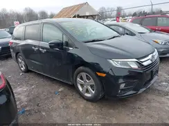 5FNRL6H53KB019373 2019 HONDA ODYSSEY