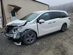 5FNRL6H53MB030604 2021 HONDA ODYSSEY