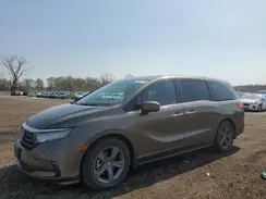 5FNRL6H53MB035446 2021 HONDA ODYSSEY