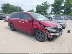 5FNRL6H53NB005686 2022 HONDA ODYSSEY