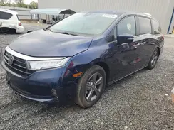 5FNRL6H53RB005239 2024 HONDA ODYSSEY