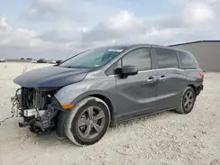 5FNRL6H53RB027239 2024 HONDA ODYSSEY