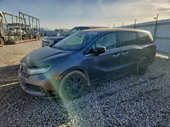 5FNRL6H54NB012243 2022 HONDA ODYSSEY