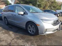 5FNRL6H54NB031018 2022 HONDA ODYSSEY