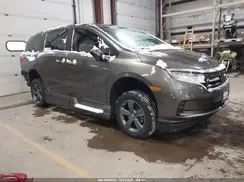 5FNRL6H54NB033545 2022 HONDA ODYSSEY