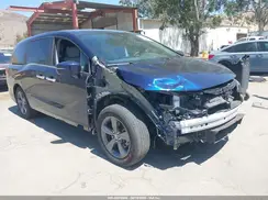 5FNRL6H54RB039528 2024 HONDA ODYSSEY